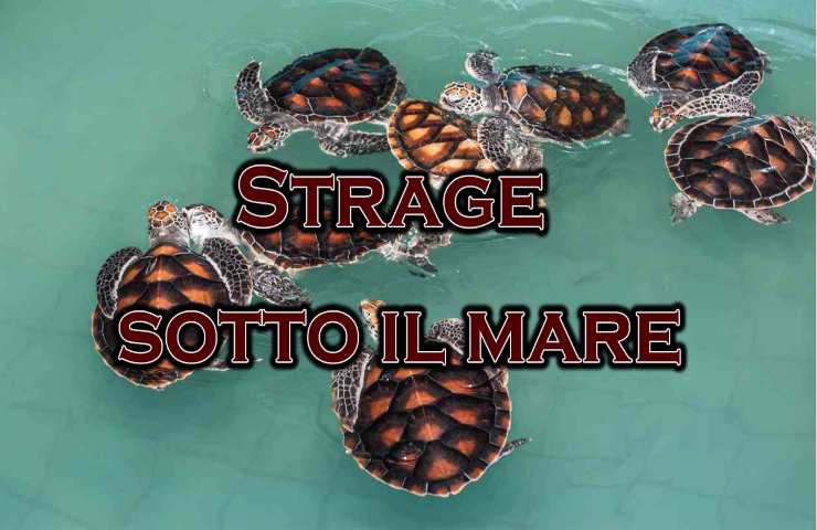 60 Mini Tartarughe Marine Che Si Illuminano Al Buio - Multicolore, 2,3 Cm, Per Giardino E Fai Da Te