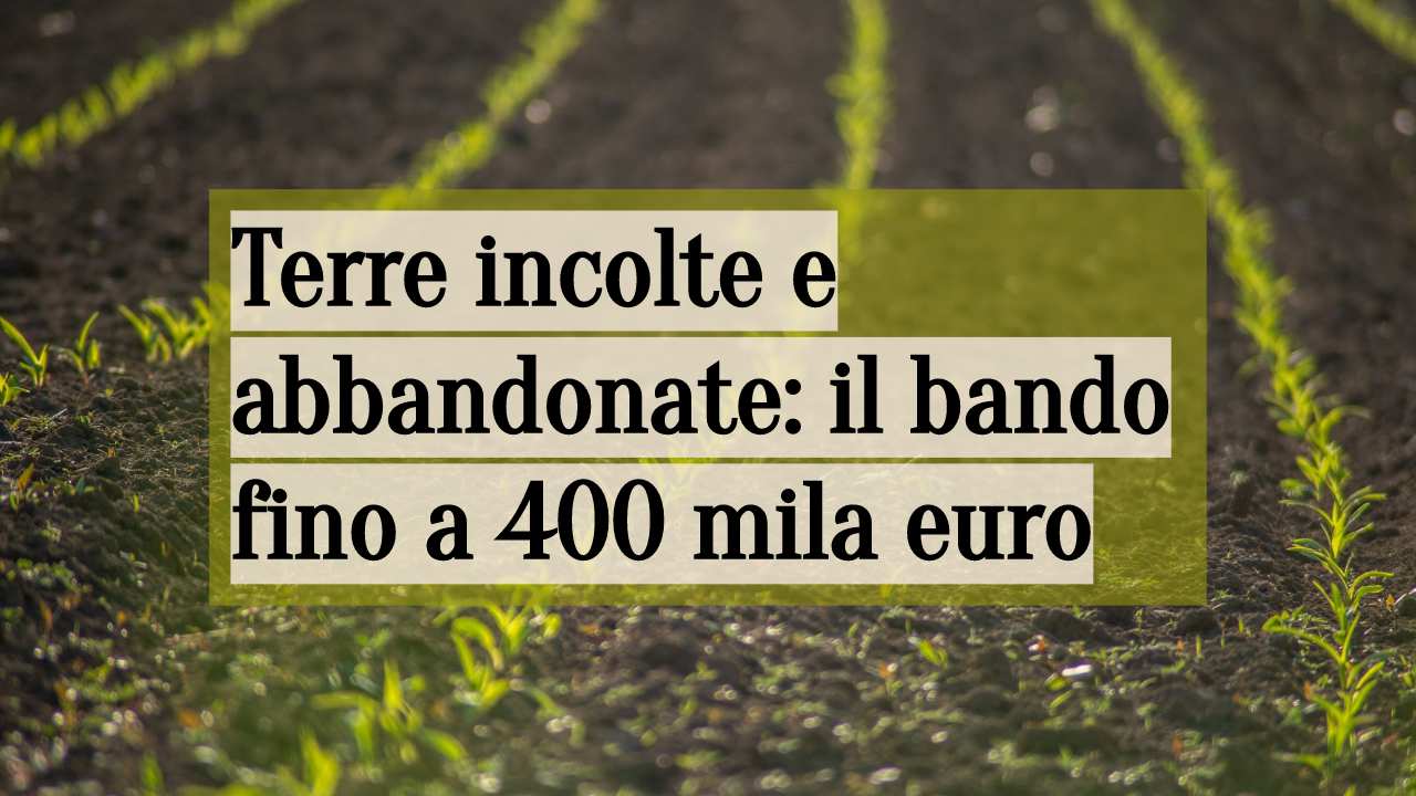 coltivare terre incolte