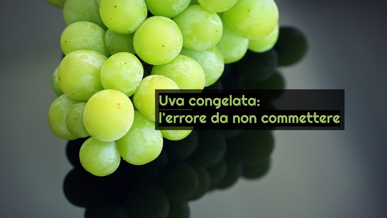 uva congelata errore
