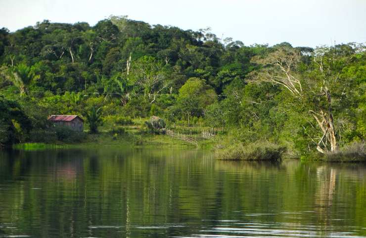 allarme Amazzonia