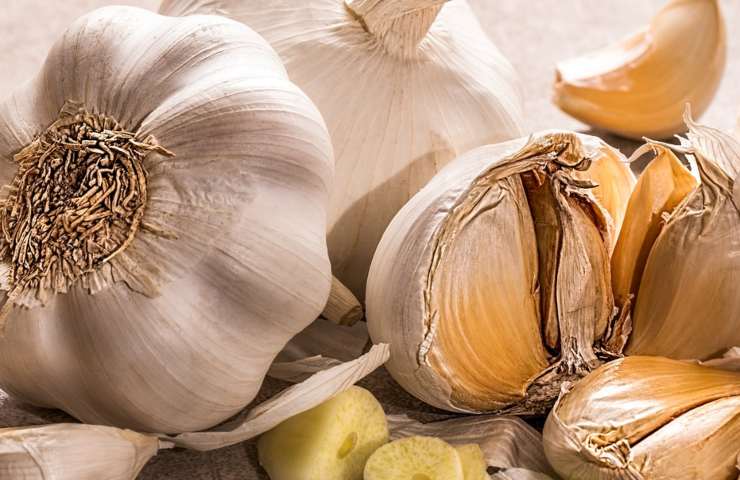 ricetta infuso aiuto difese immunitarie