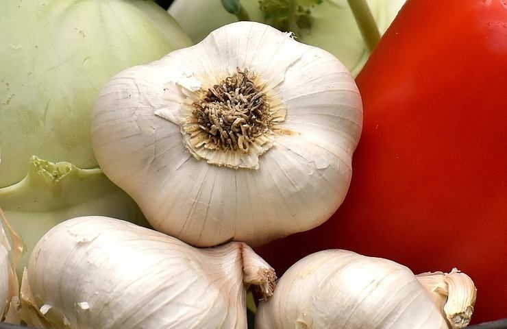 conservazione aglio cucina consigli