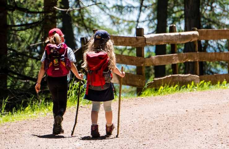 passeggiare natura benefici cervello