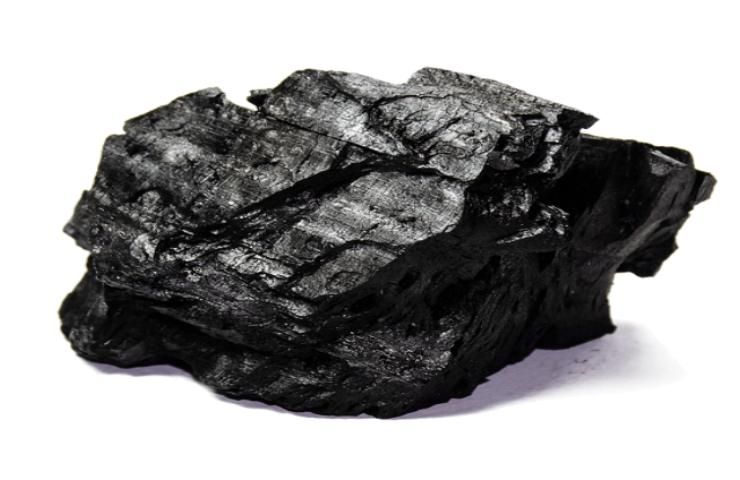 carbone vegetale proprietà disinfettanti ed assorbenti 