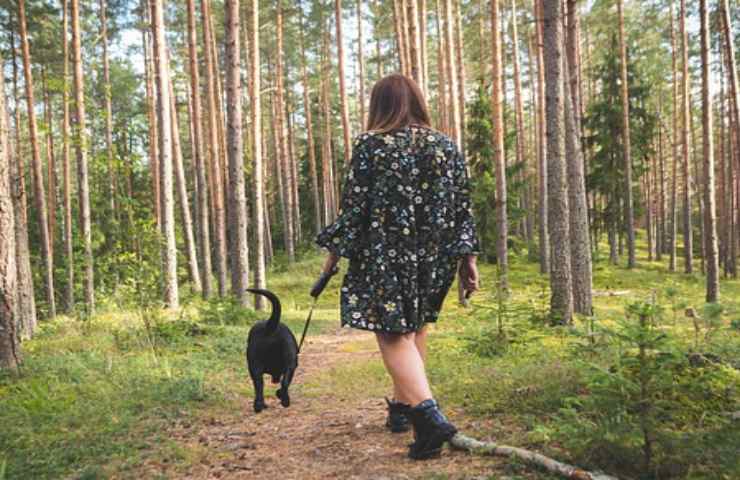 passeggiare bosco 1 ora benefici cervello