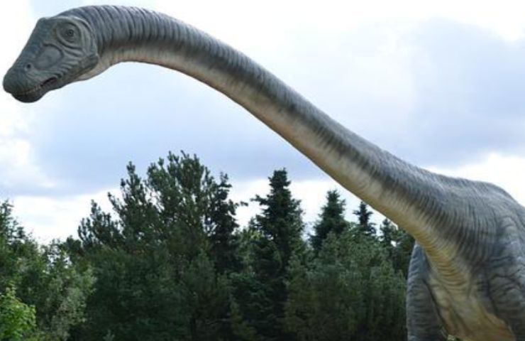 dinosauri nati scoperta origine
