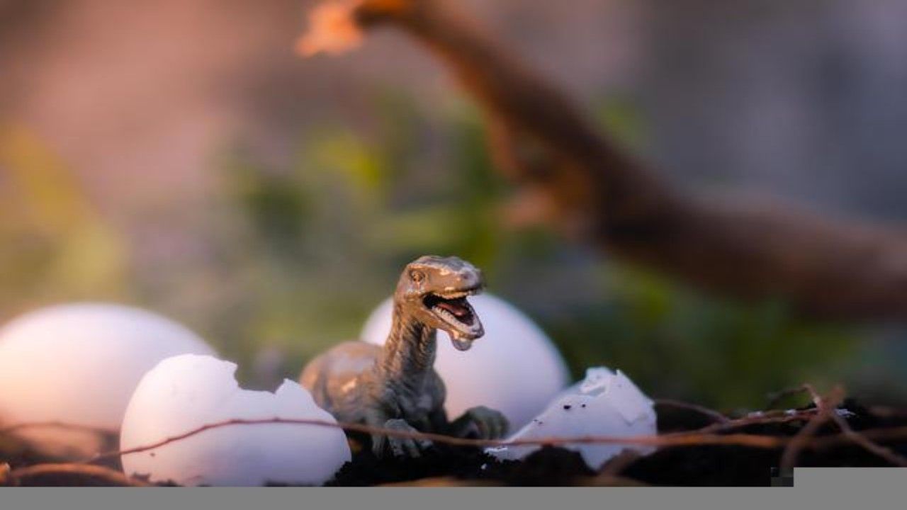 dinosauri così nati scoperta origine specie