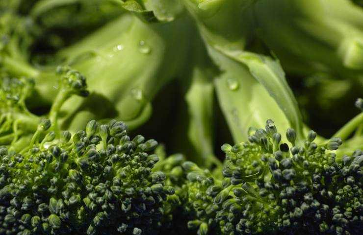 Pulire correttamente broccoli 