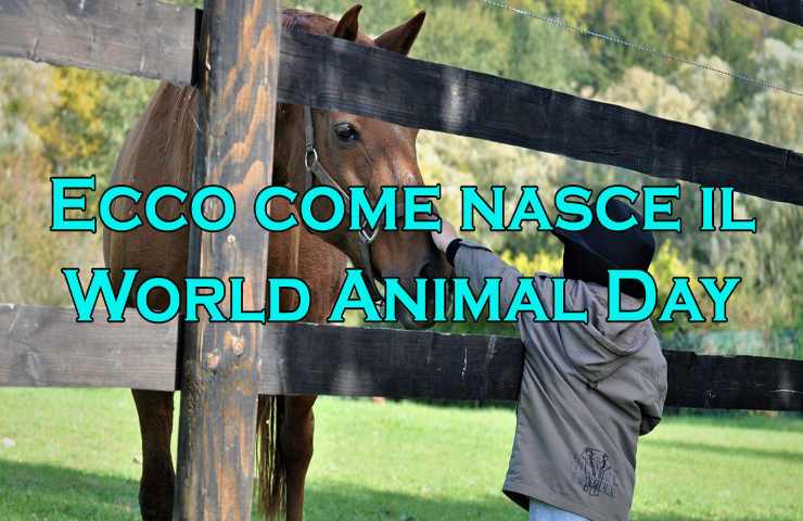 come nasce world animal day