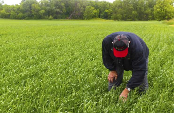 agricoltore centenario segreto stupisce mondo