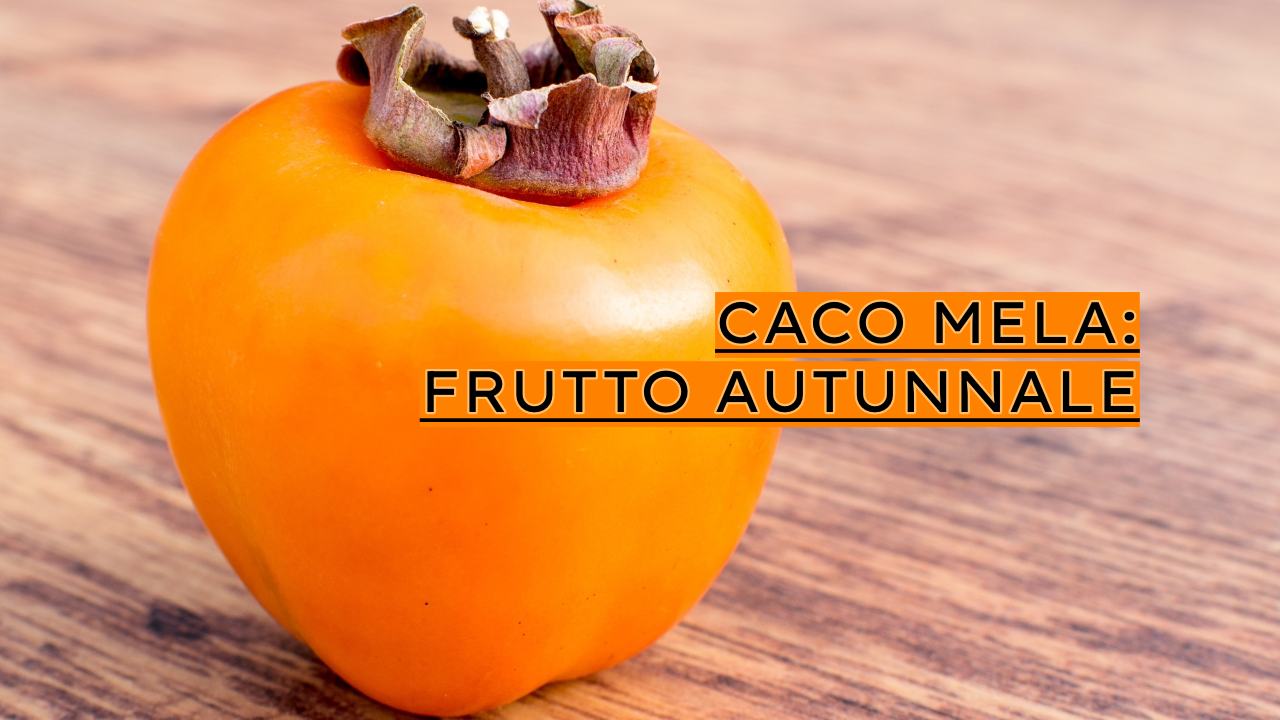 caco mela frutto autunnale