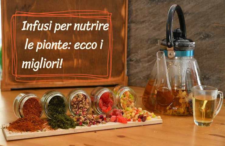 Nutrire piante natura