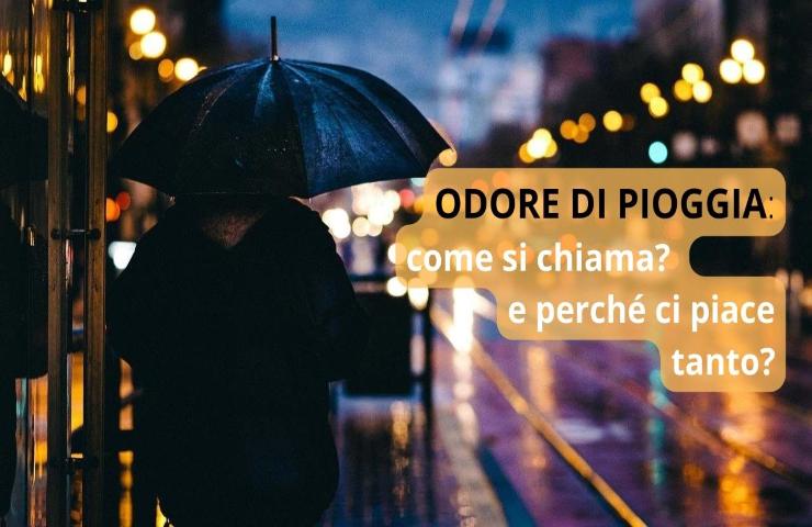 Odore pioggia città