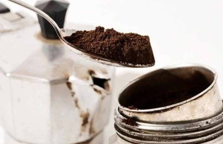 Polvere caffè contro formiche 