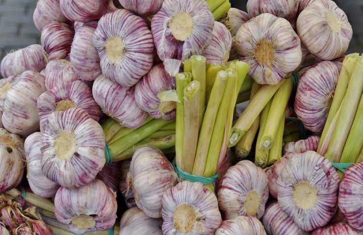 aglio fuori porta finestra salva vita