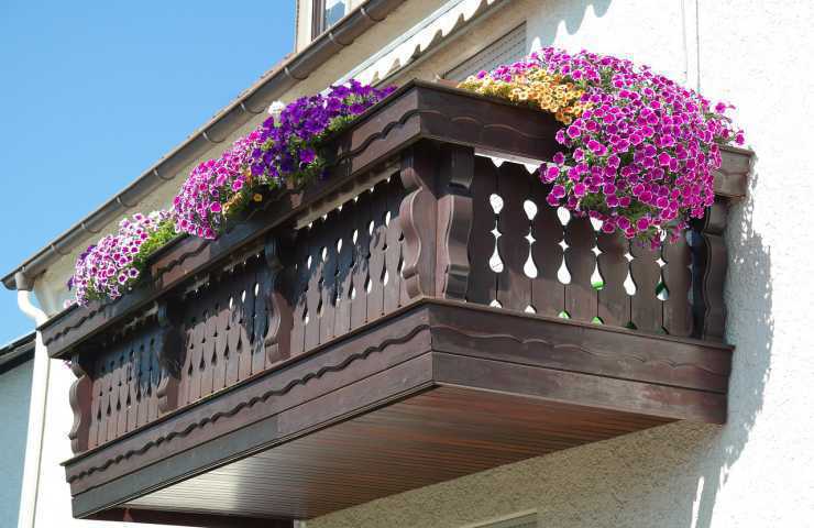 balcone fiorito piante