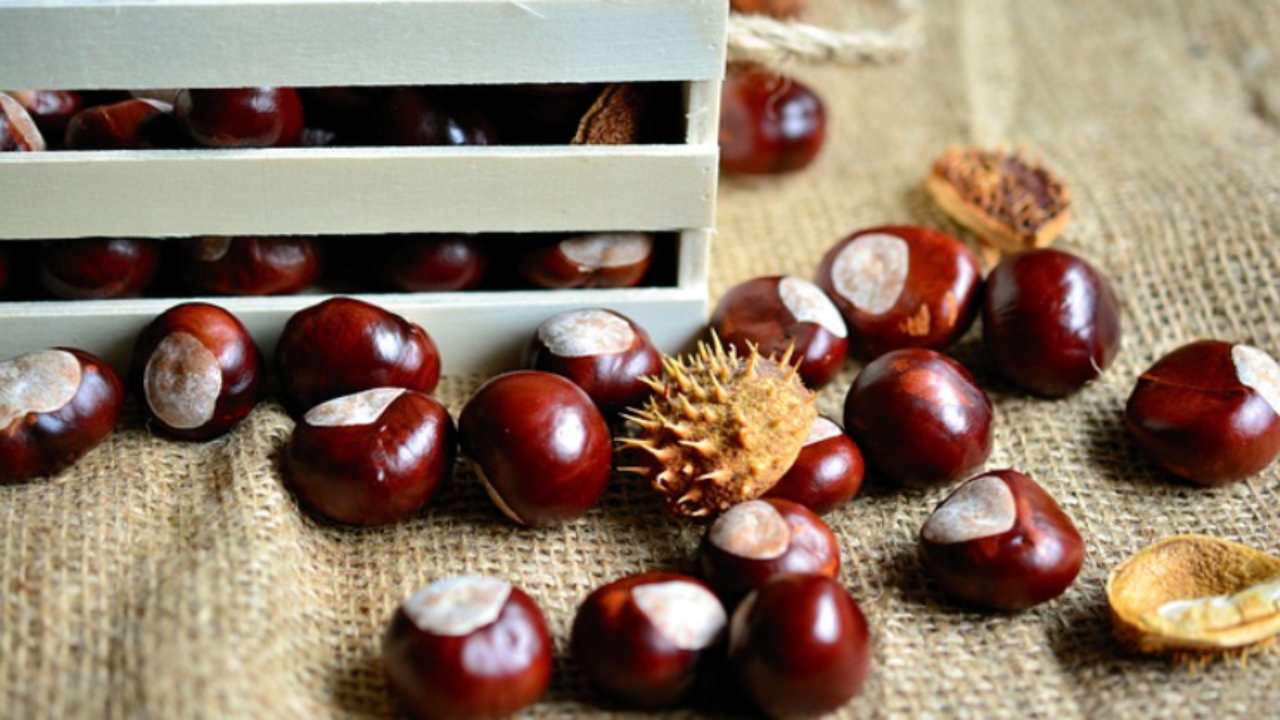 conservare castagne molto tempo come