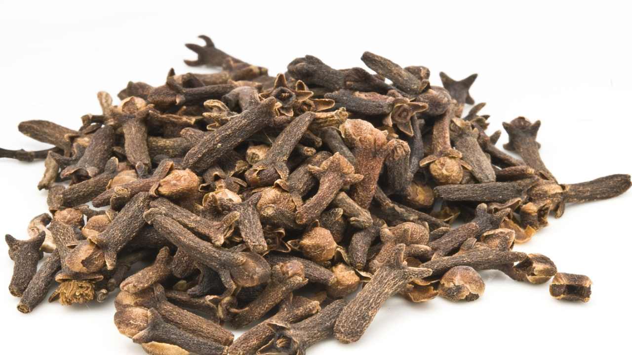 utilizzi proprietà chiodi garofano
