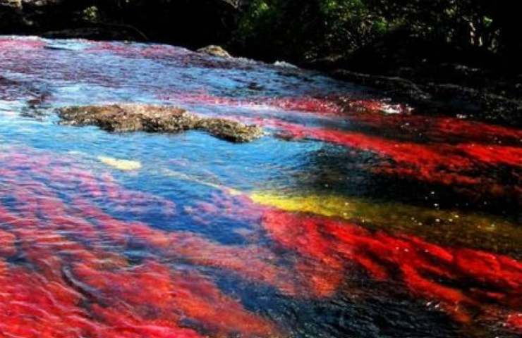 fiume arcobaleno cano cristales 