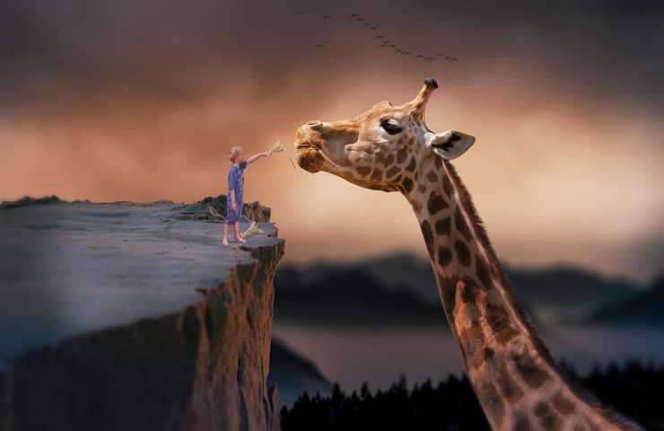 animali lunghi giraffa