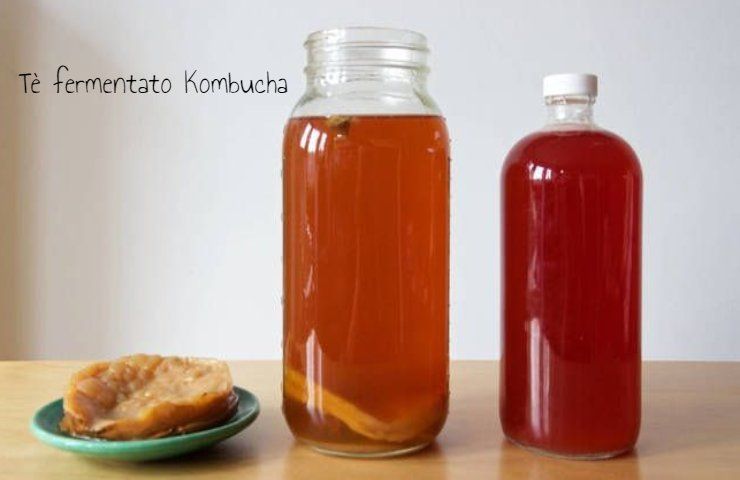 kombucha alleato intestino