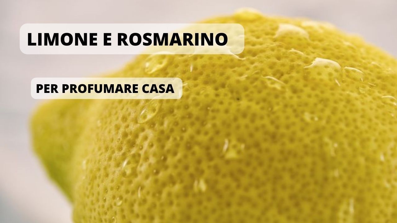 limone rosmarino cattivo odore