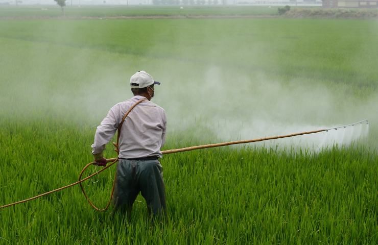 rame agricoltura pesticida