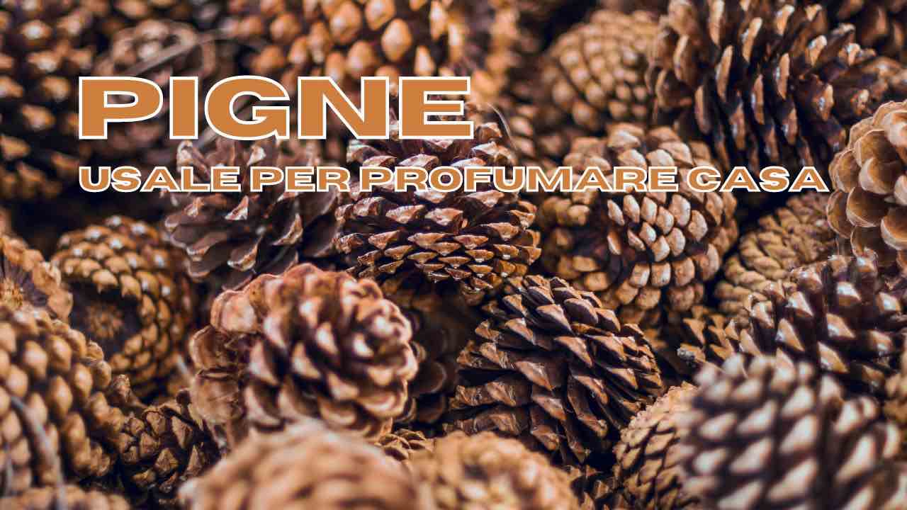 pigne idea profumazione