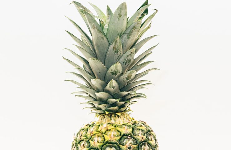 ananas gambo non buttarlo perchè