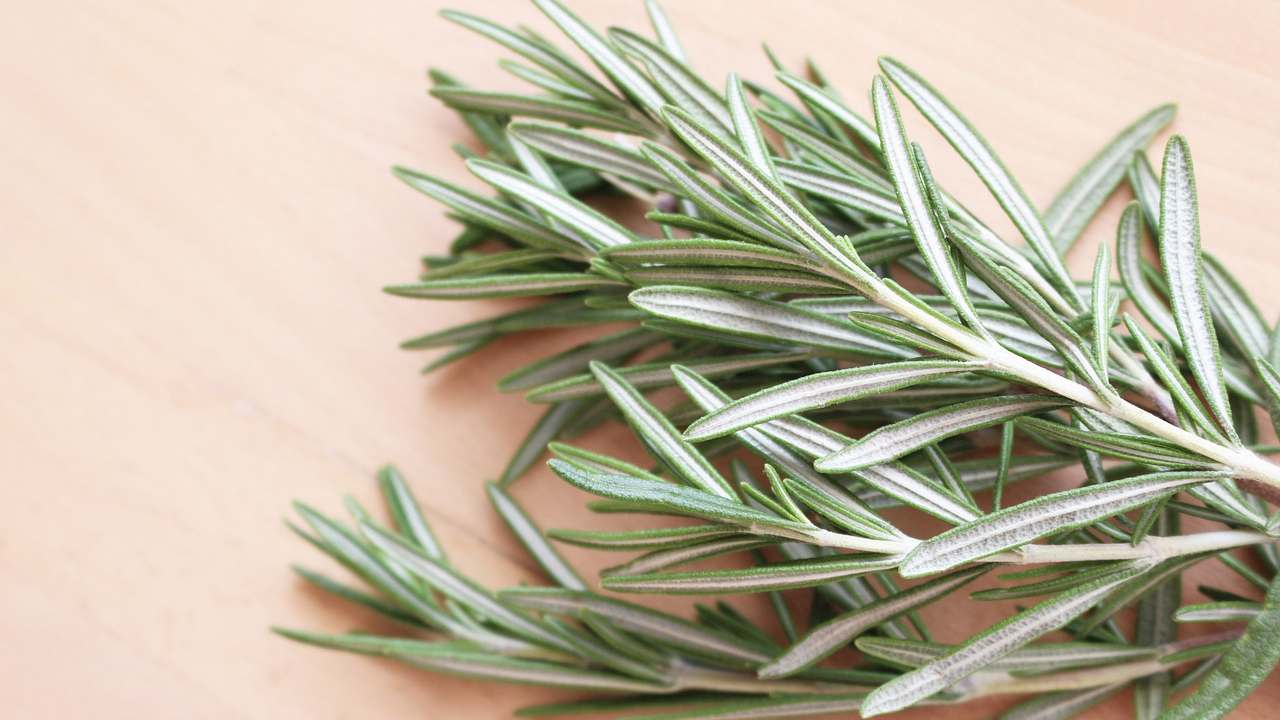 rosmarino essiccare modo giusto