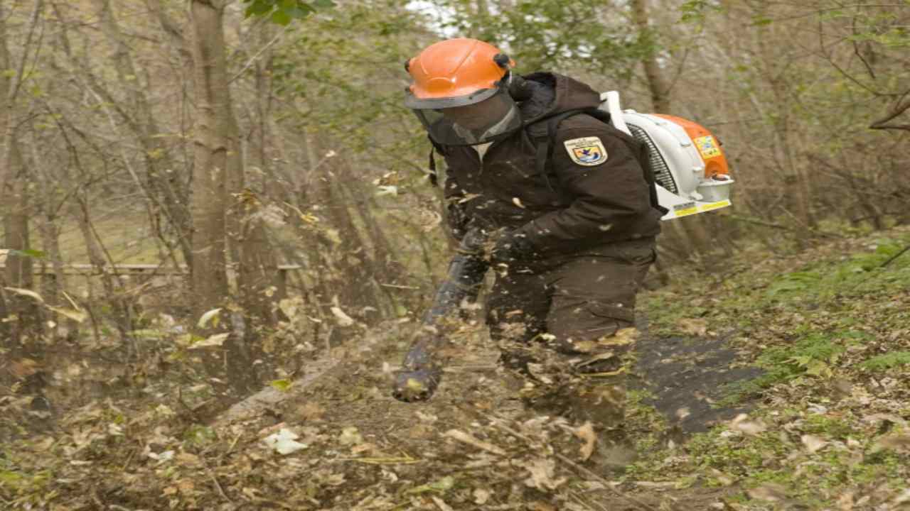 soffiatori motivi per evitare utilizzo