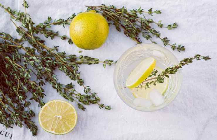 timo limone benefici salute