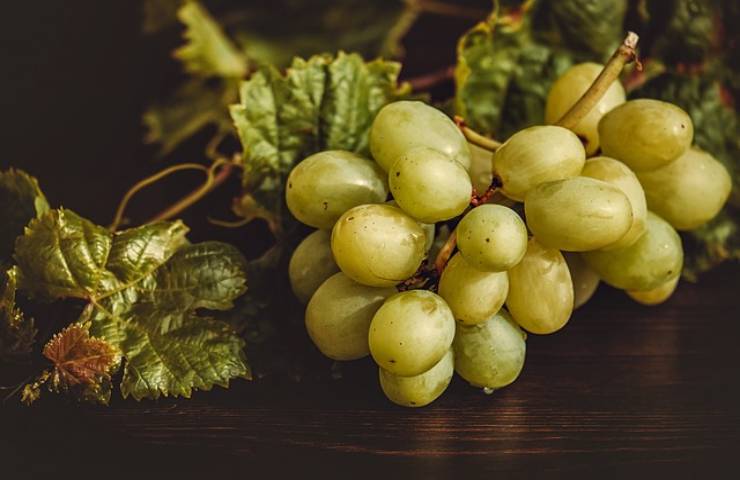 trucchi conservare uva 