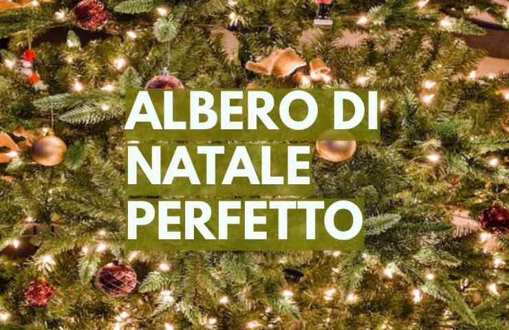 Mohito Asta Refrigerante Per Vino Con Tappo Sottovuoto – Bacchetta Raffreddante, Versatore Salvagoccia, Regalo In Scatola