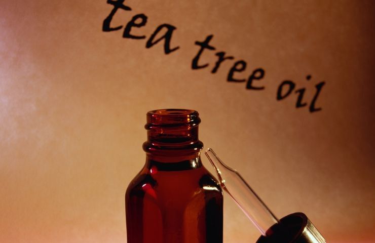 tea tree oil pulizia casa