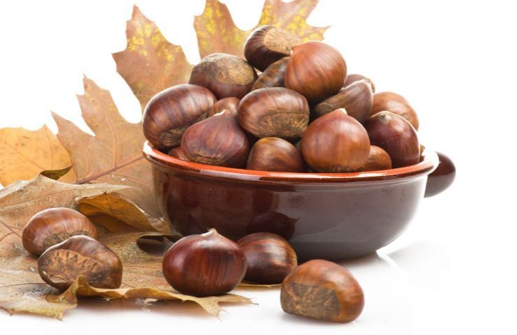 conservazione castagne mesi