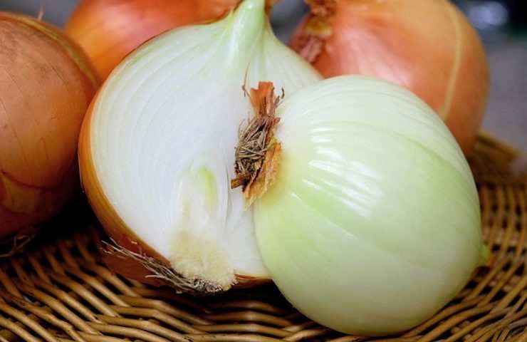 Cipolla come riciclarla