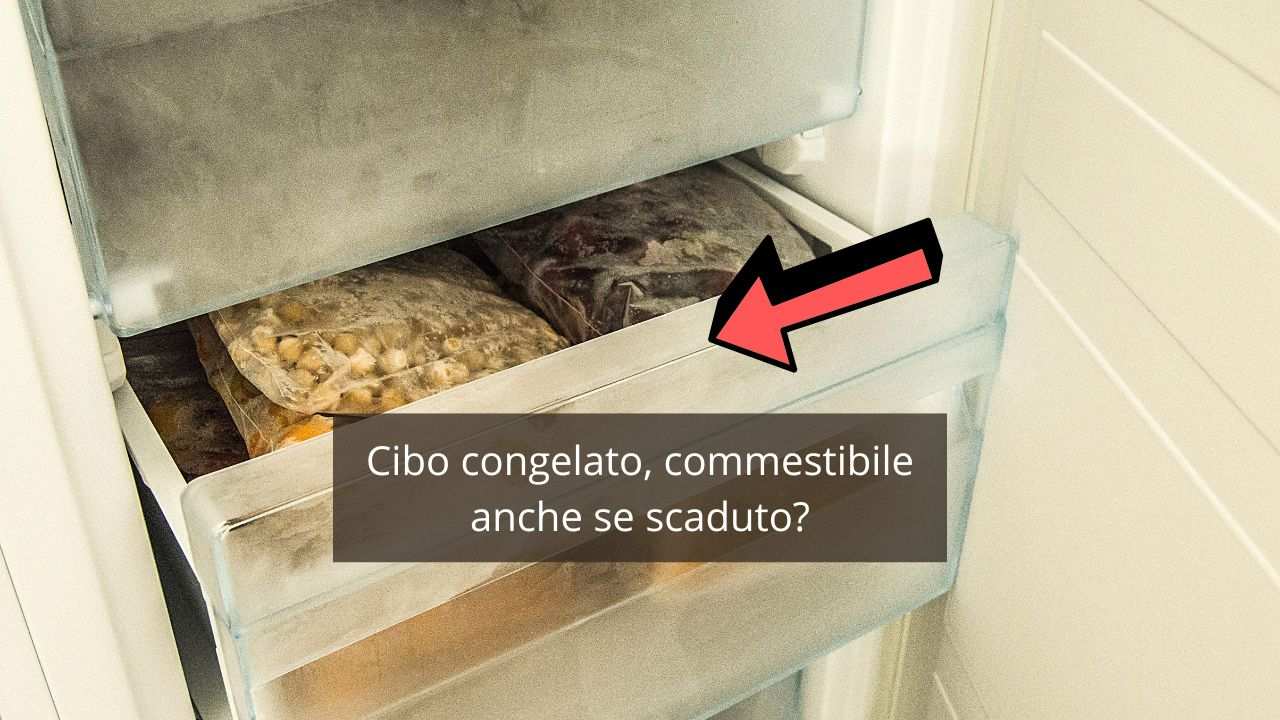 cibo congelato scaduto