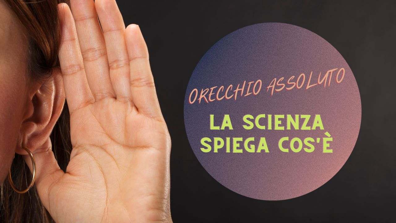 orecchio assoluto