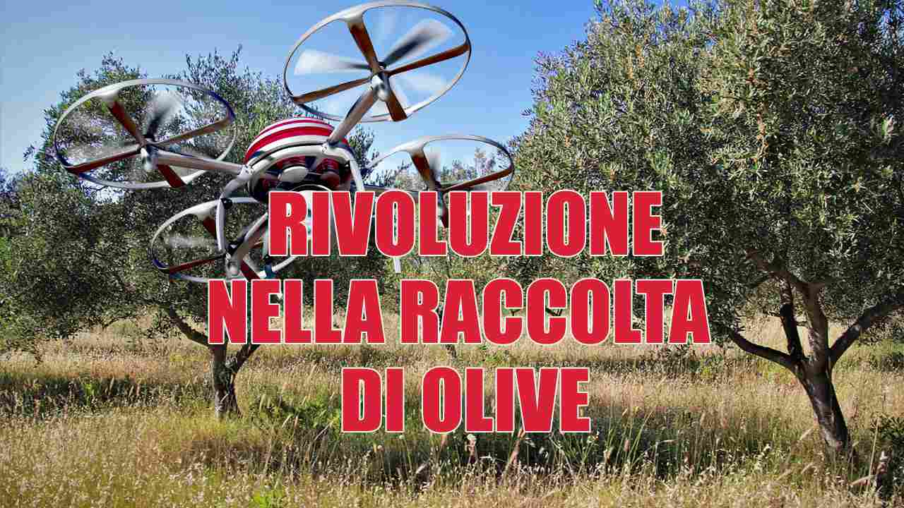 come funziona il drone raccogli olive