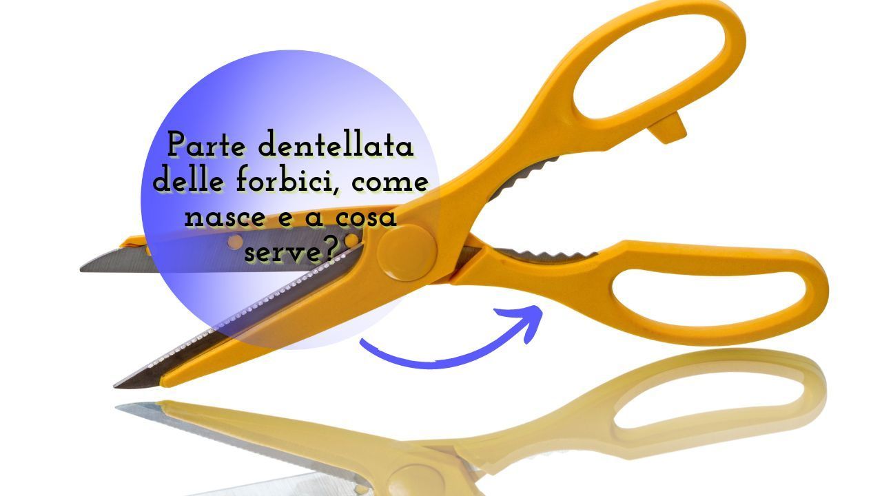 forbice cucina parte dentellata