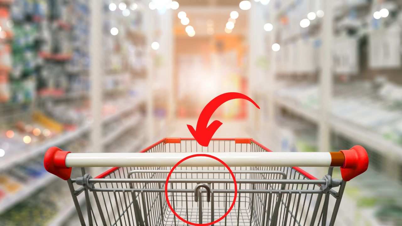 Gancio carrello spesa funzione