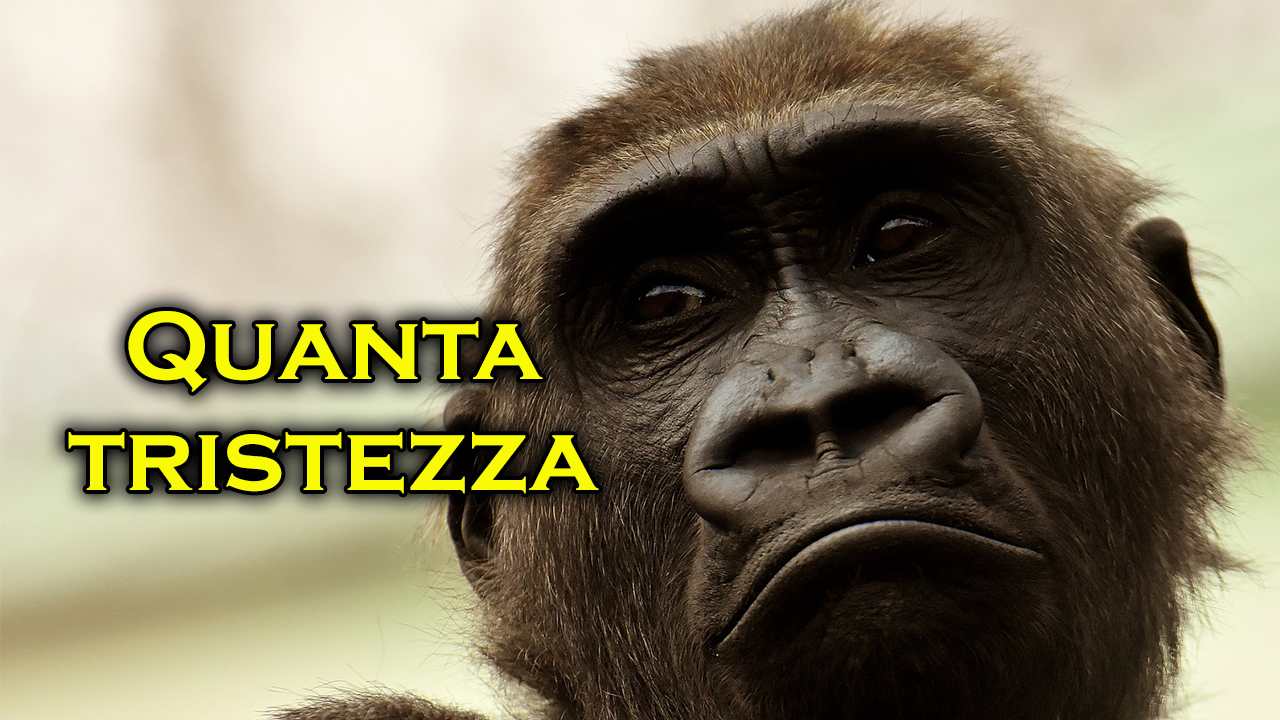 Bua Noi prezzo della libertà