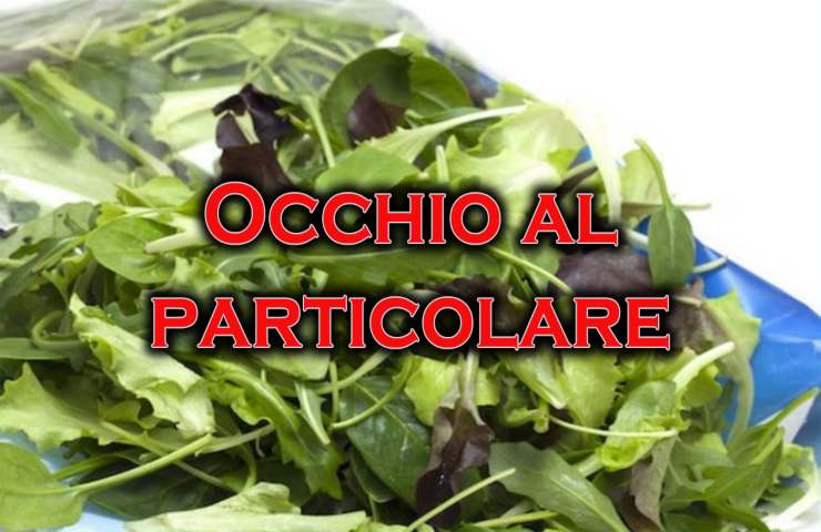 particolare da controllare insalata in busta