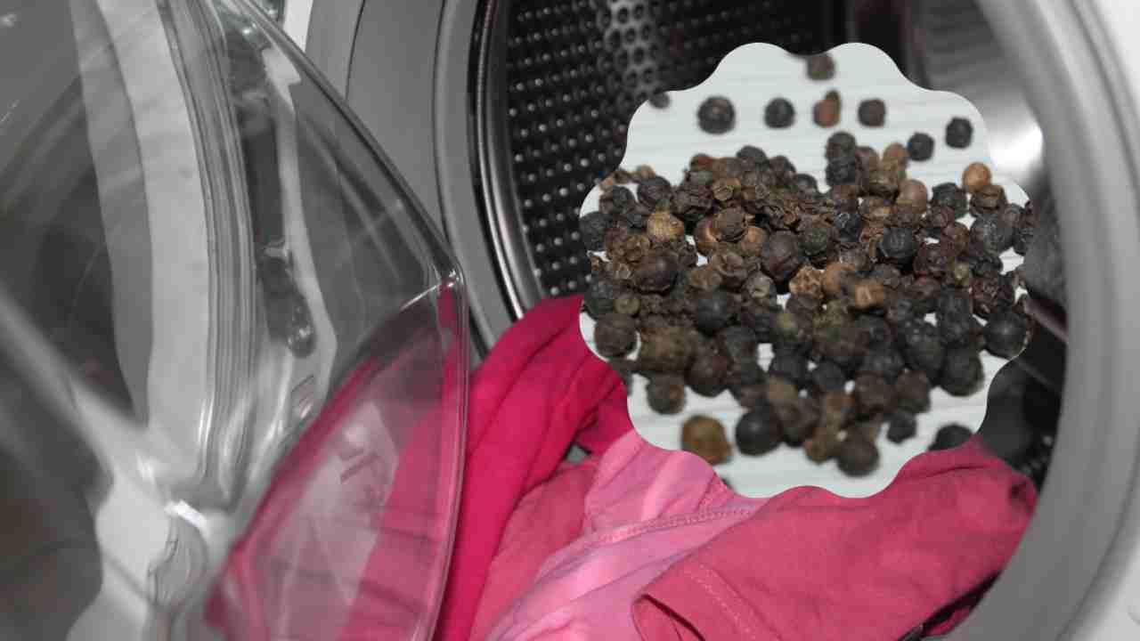 Lavatrice consumi 2022