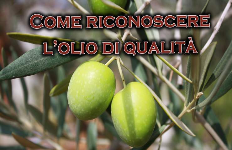 riconoscere olio di qualità