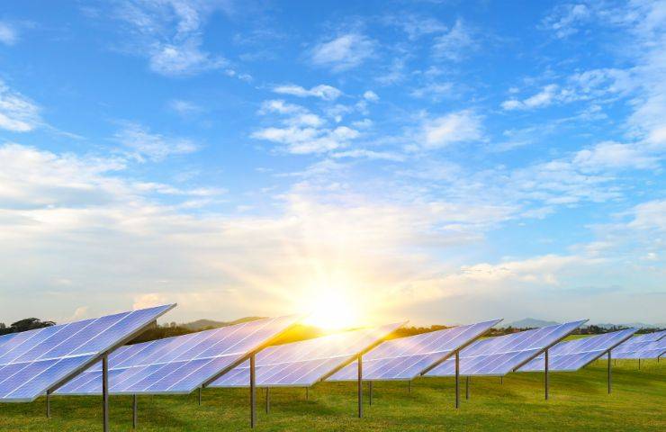 Pannelli solari benefici biodiversità 