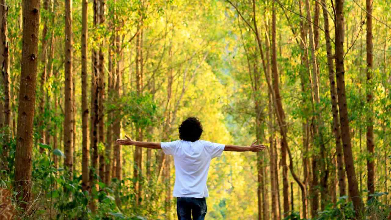 benessere vivere natura