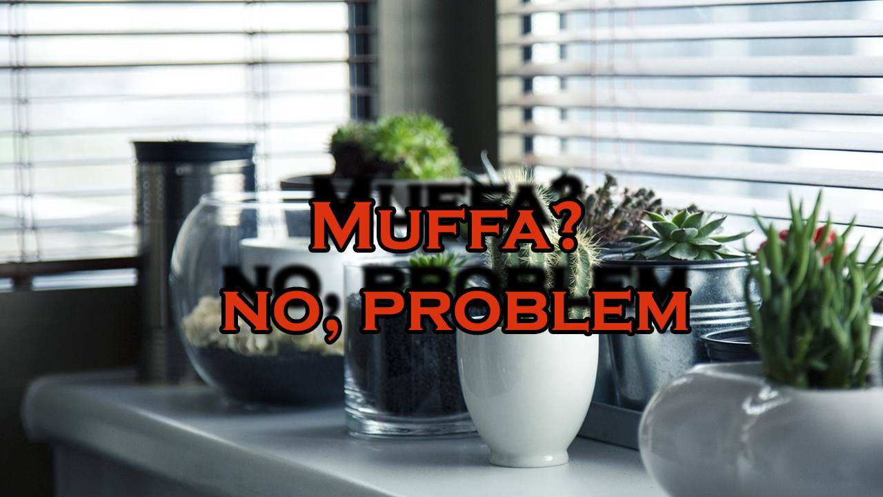 come si forma muffa su terriccio