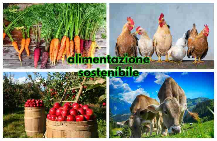 alimentazione Insostenibile modifica comportamenti